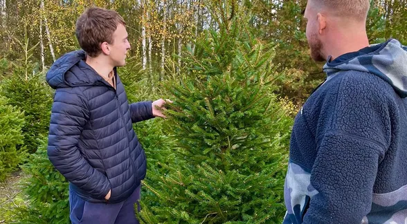 Rozmowa przy choince na plantacji