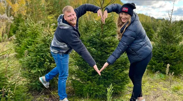 Na plantacji choinek